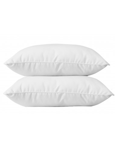 Lot de 2 oreillers 60 x 60 cm Blanrêve Gamme Microfibre "Douceur" traité Anti Acarien